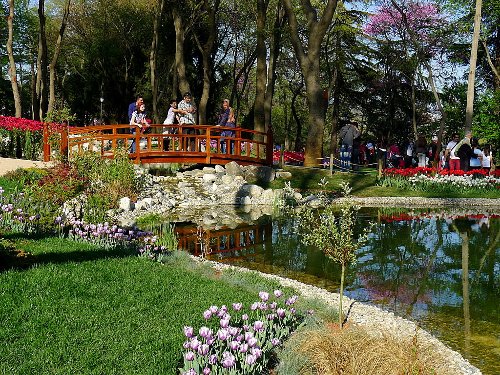 l Tulip time in Istanbul